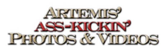 Artemis's Ass-Kickin' Sponsors